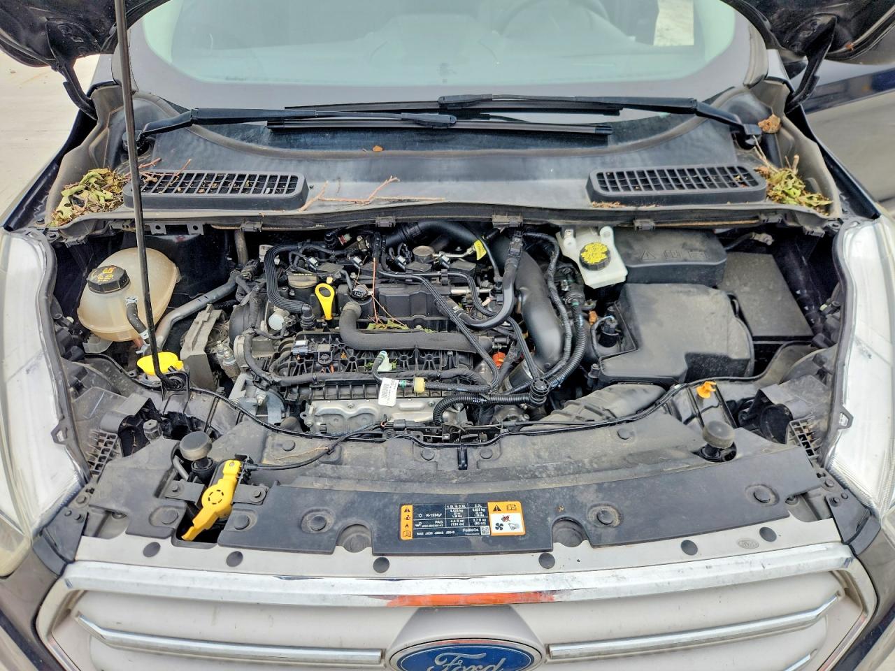 Ford Escape Se