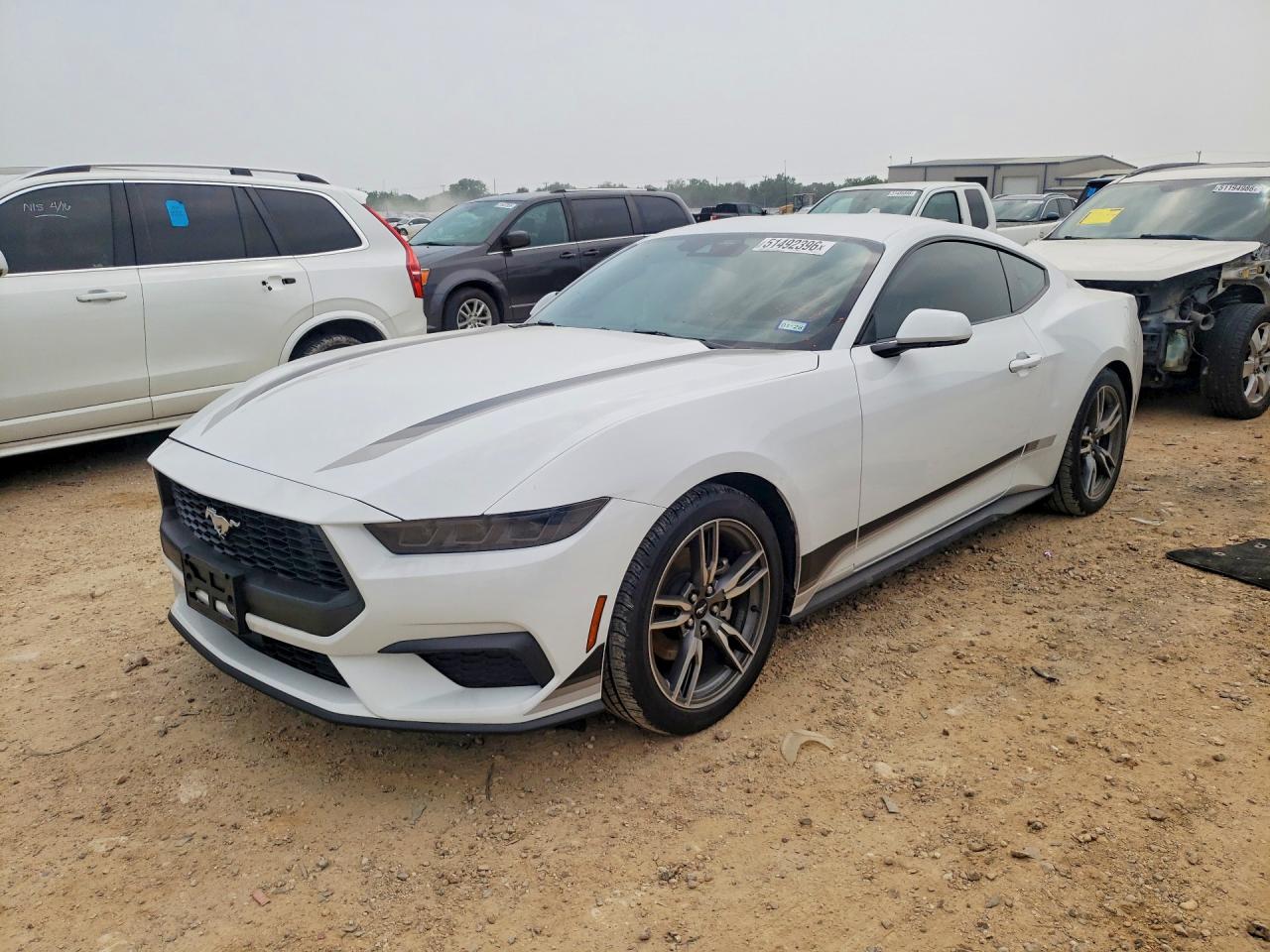 Salvage Ford Mustang Image
