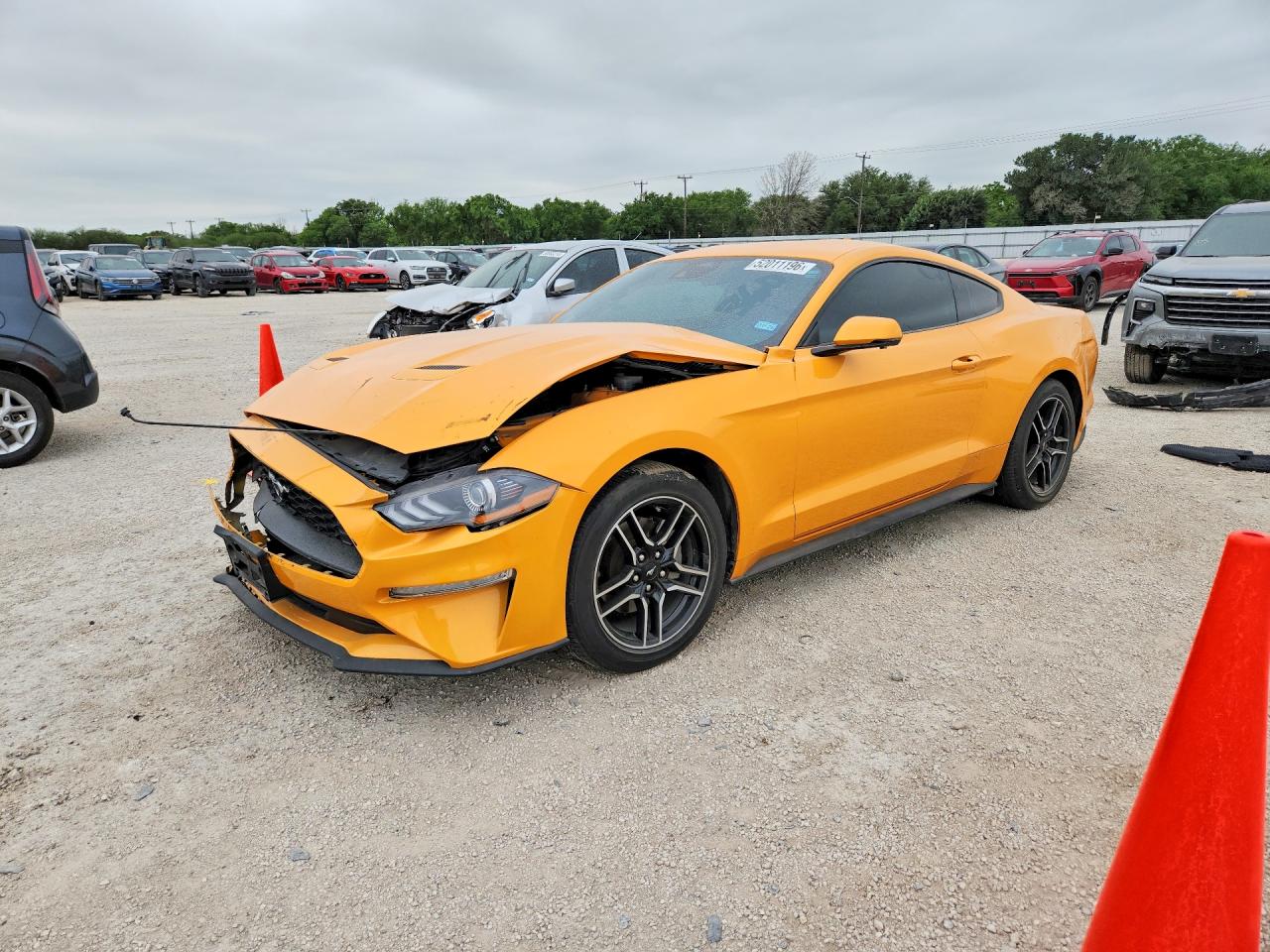 Salvage Ford Mustang Image