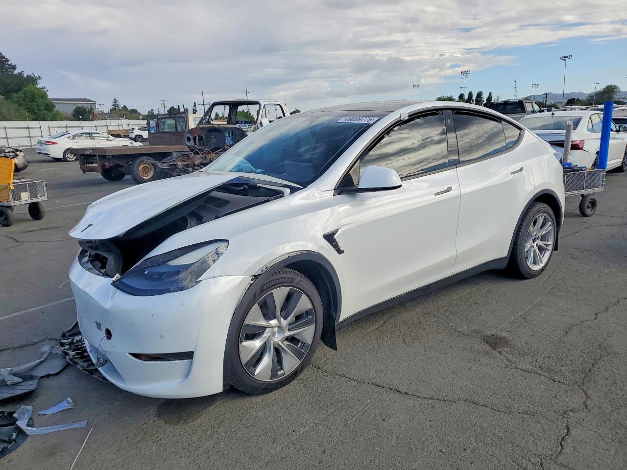 Salvage Tesla Model Y Image