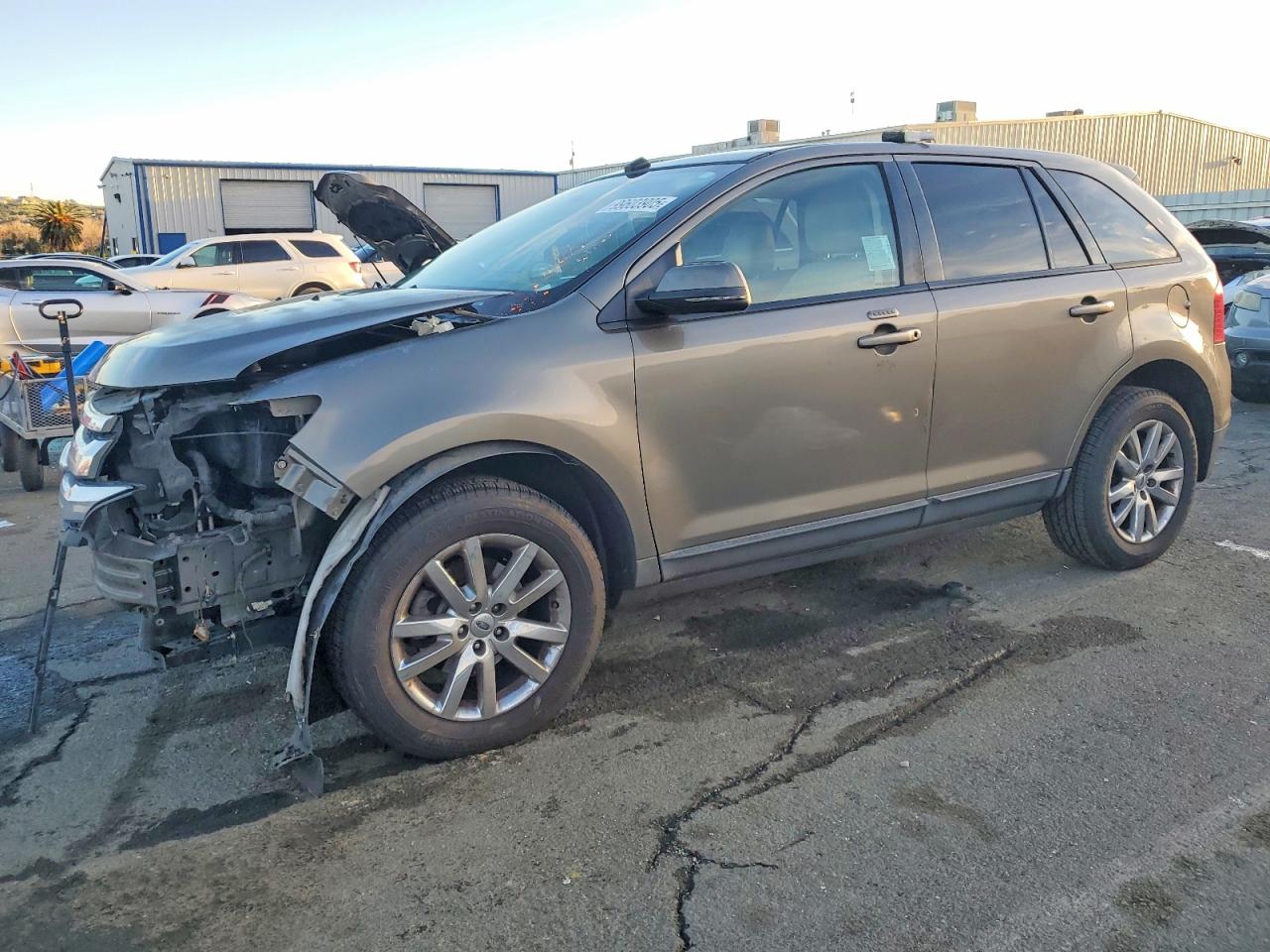Salvage Ford Edge Image