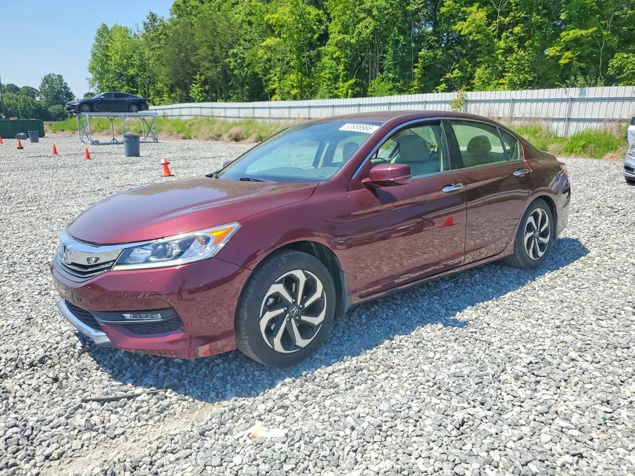 Salvage Honda Accord Image