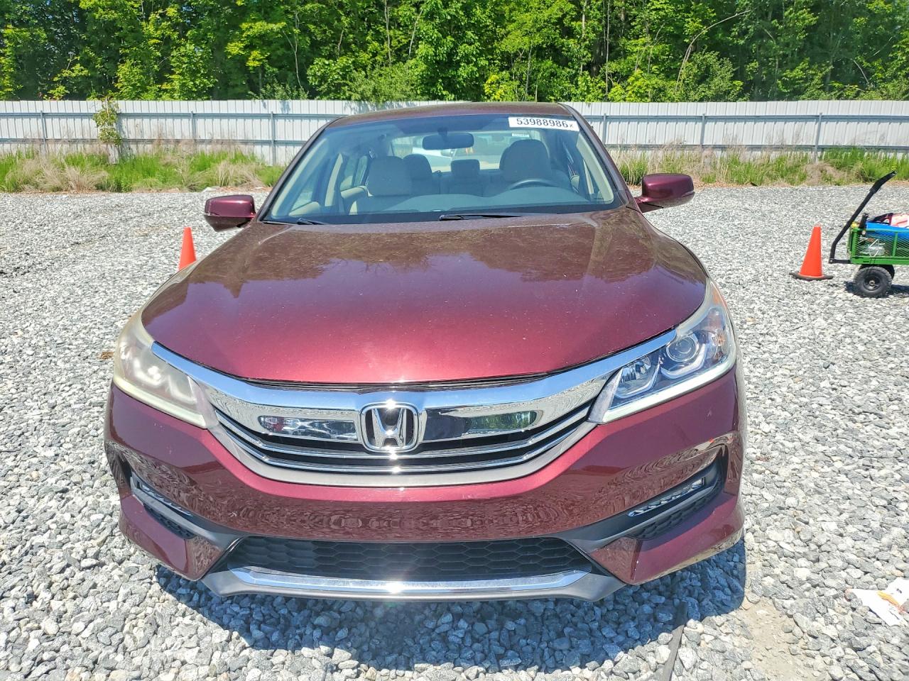 Honda Accord Ex