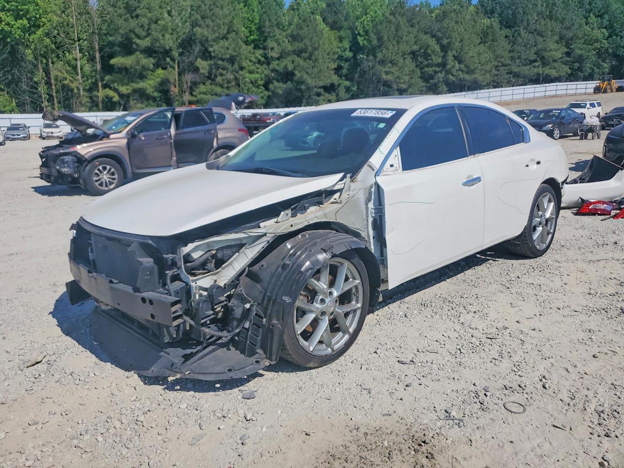 Salvage Nissan Maxima Image