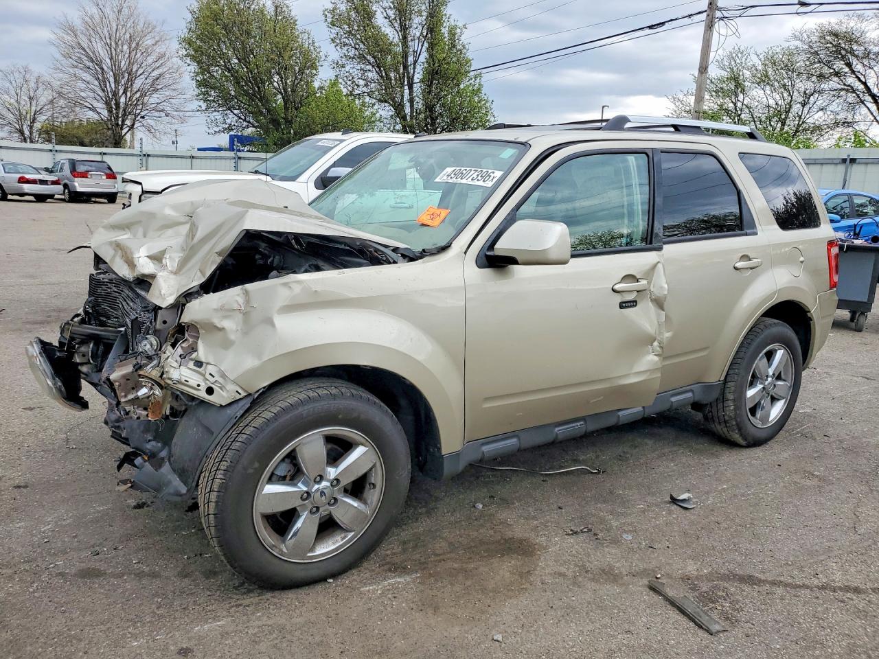 Salvage Ford Escape Image
