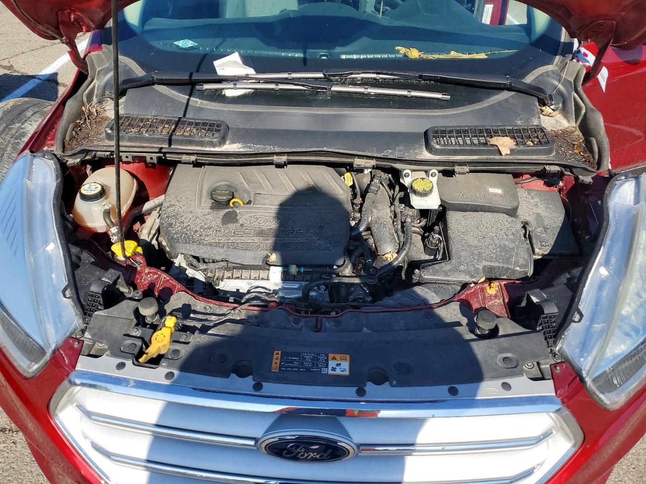 Ford Escape Se