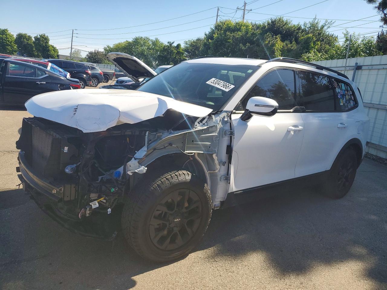 Salvage Kia Telluride Image