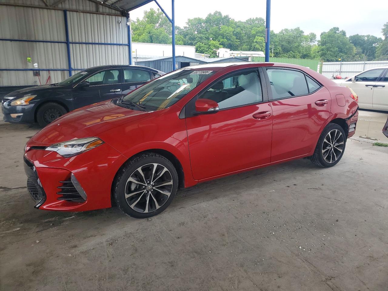 Salvage Toyota Corolla Image