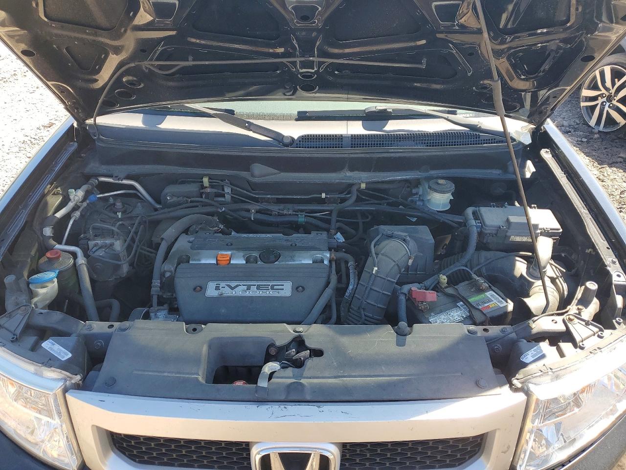 Honda Element Ex