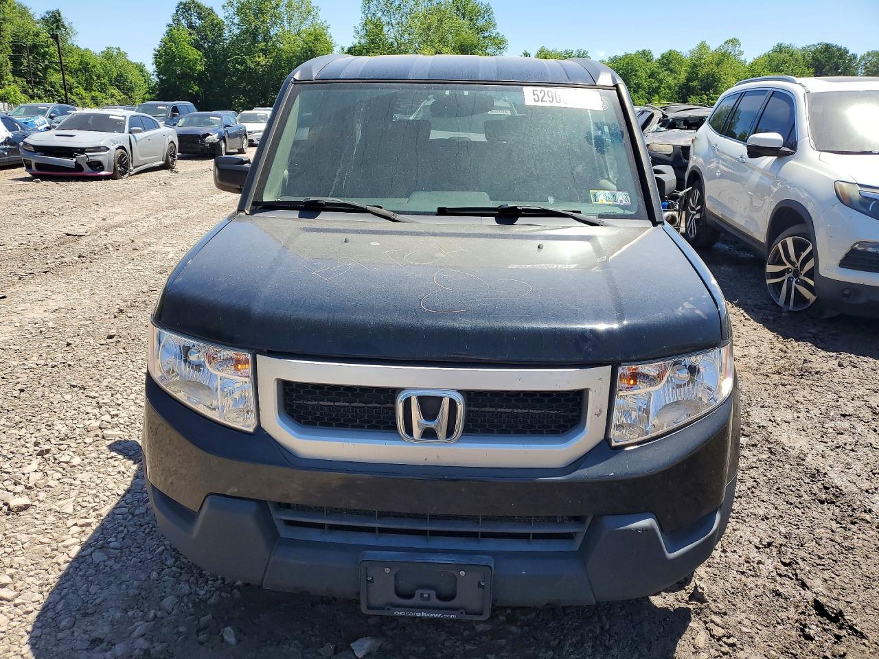 Honda Element Ex