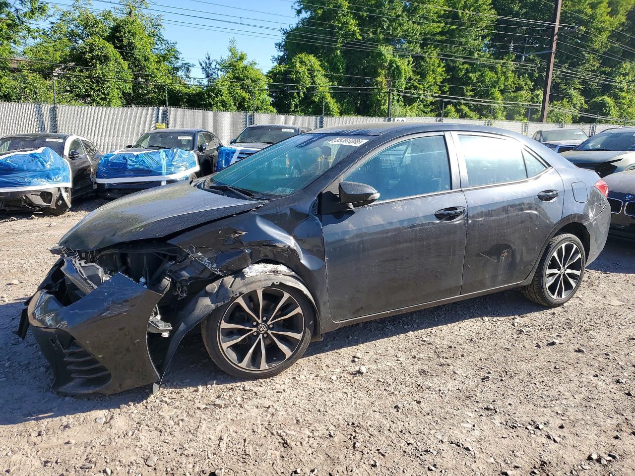 Salvage Toyota Corolla Image