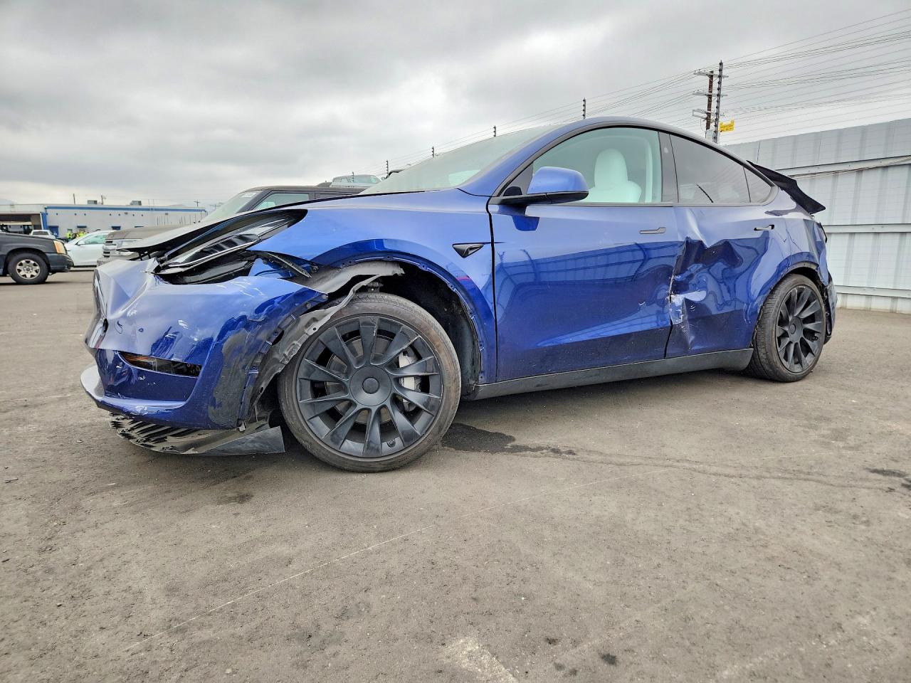 Salvage Tesla Model Y Image