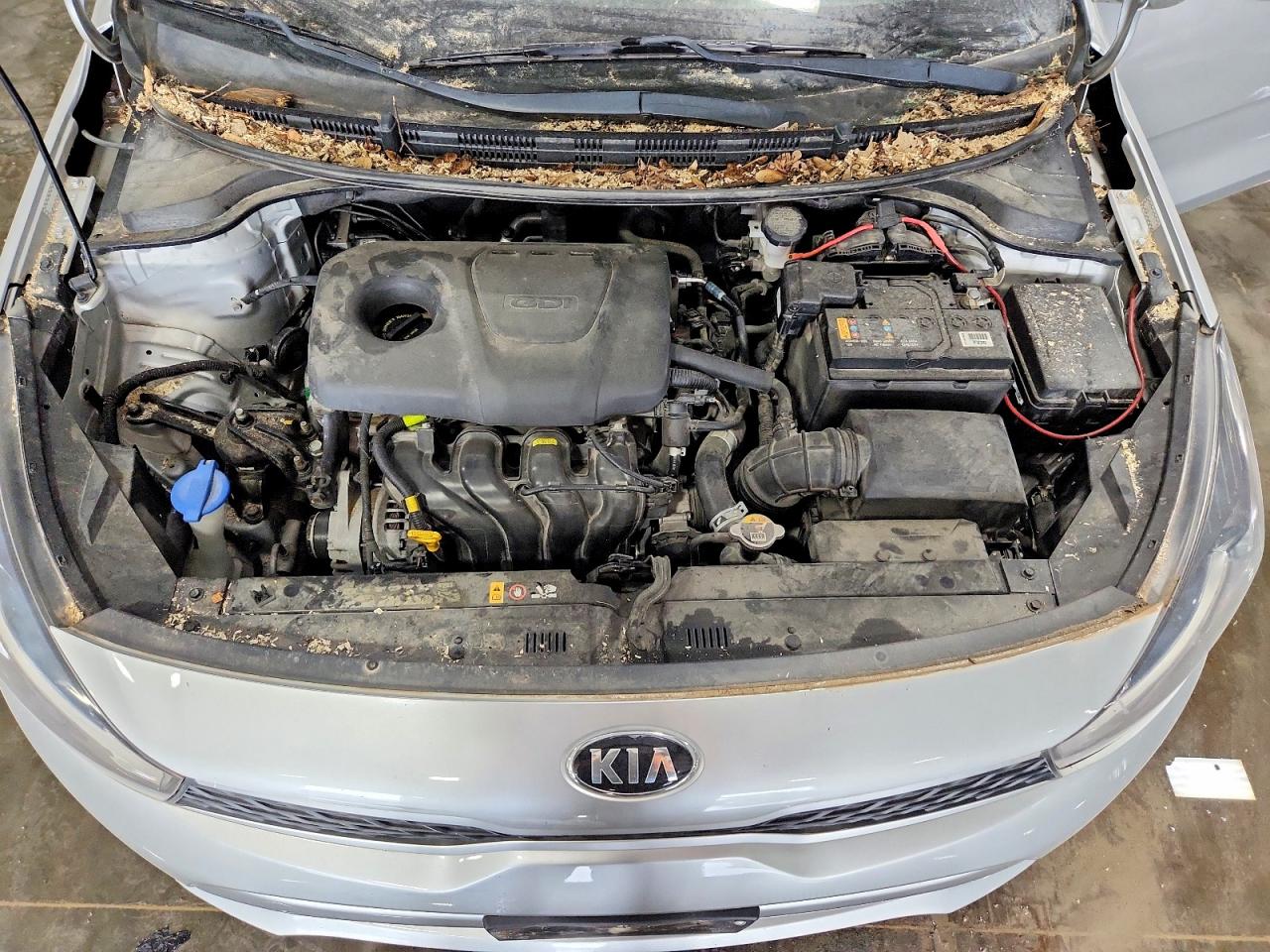 Kia Rio S