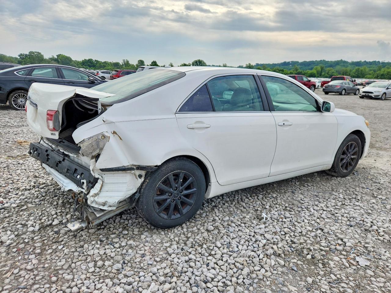 Toyota Camry Xle V6