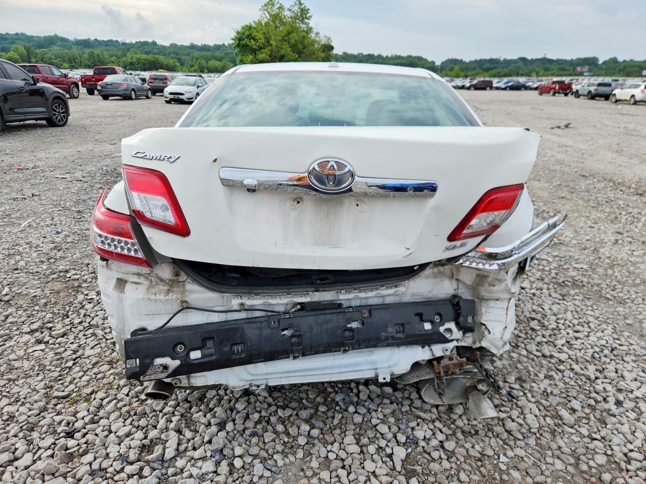 Toyota Camry Xle V6