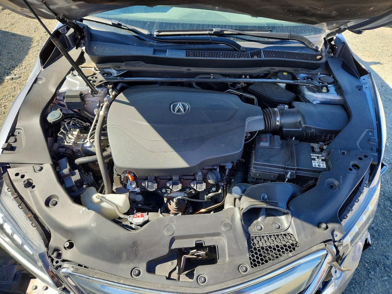 Acura TLX Advance