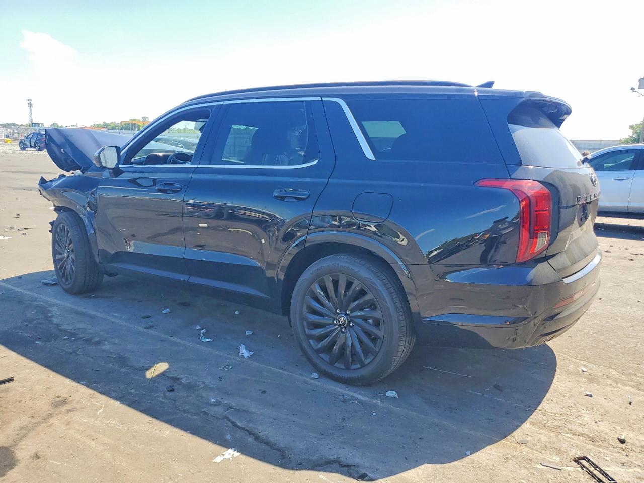 Hyundai PALISADE Calligraphy Night Edition