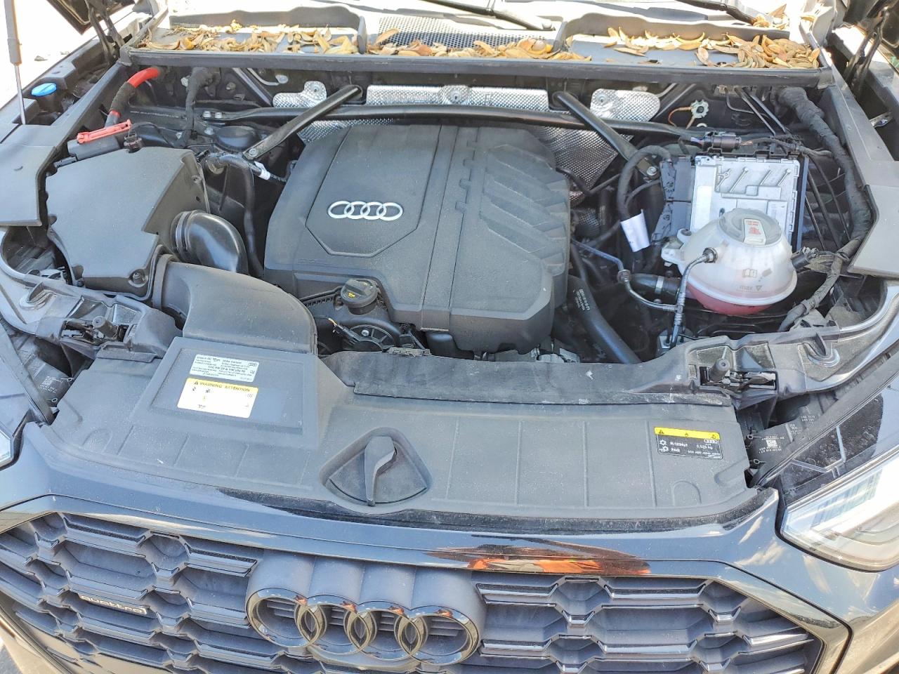 Audi Q5 Premium Plus 45