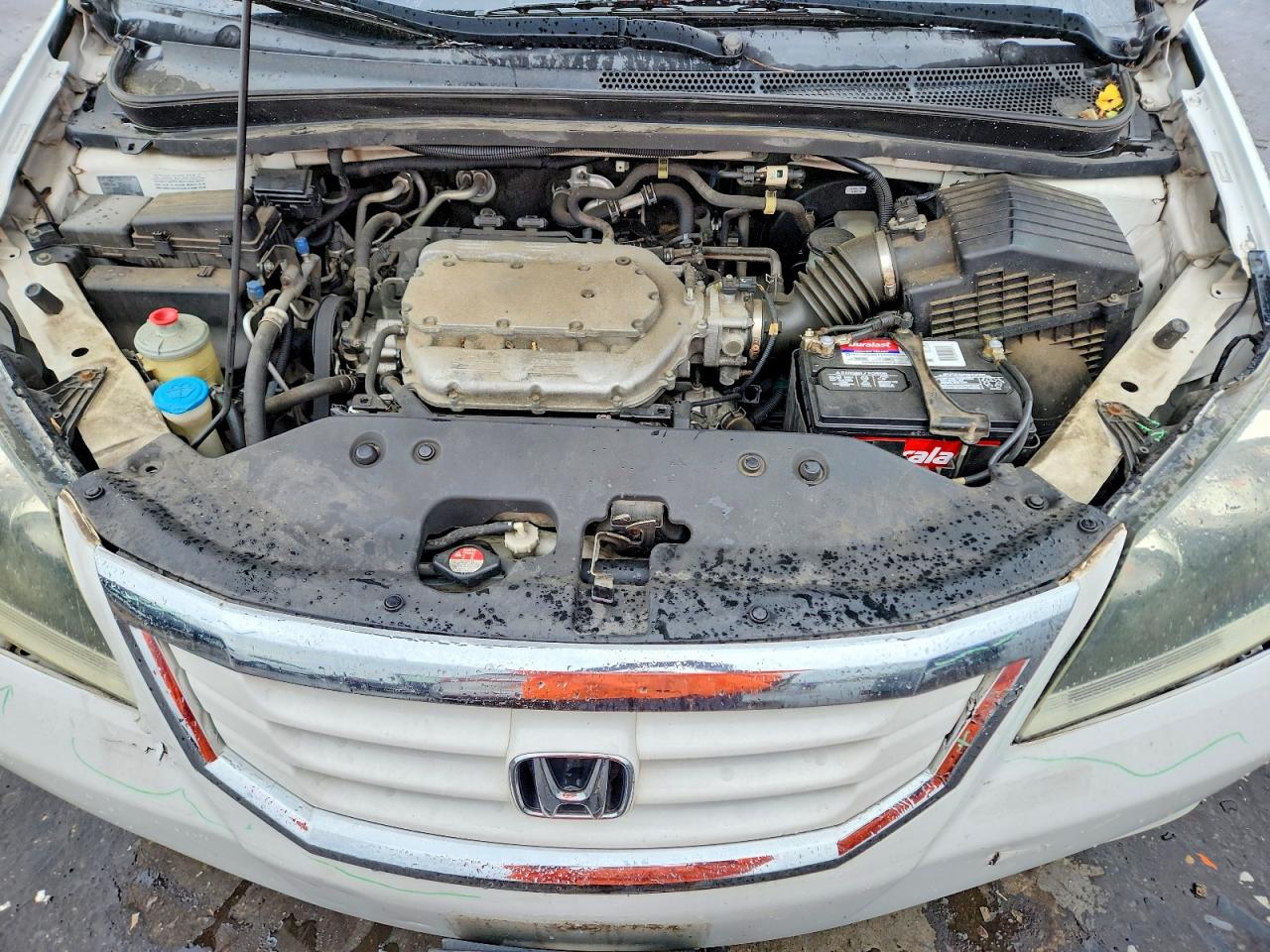 Honda Odyssey Exl