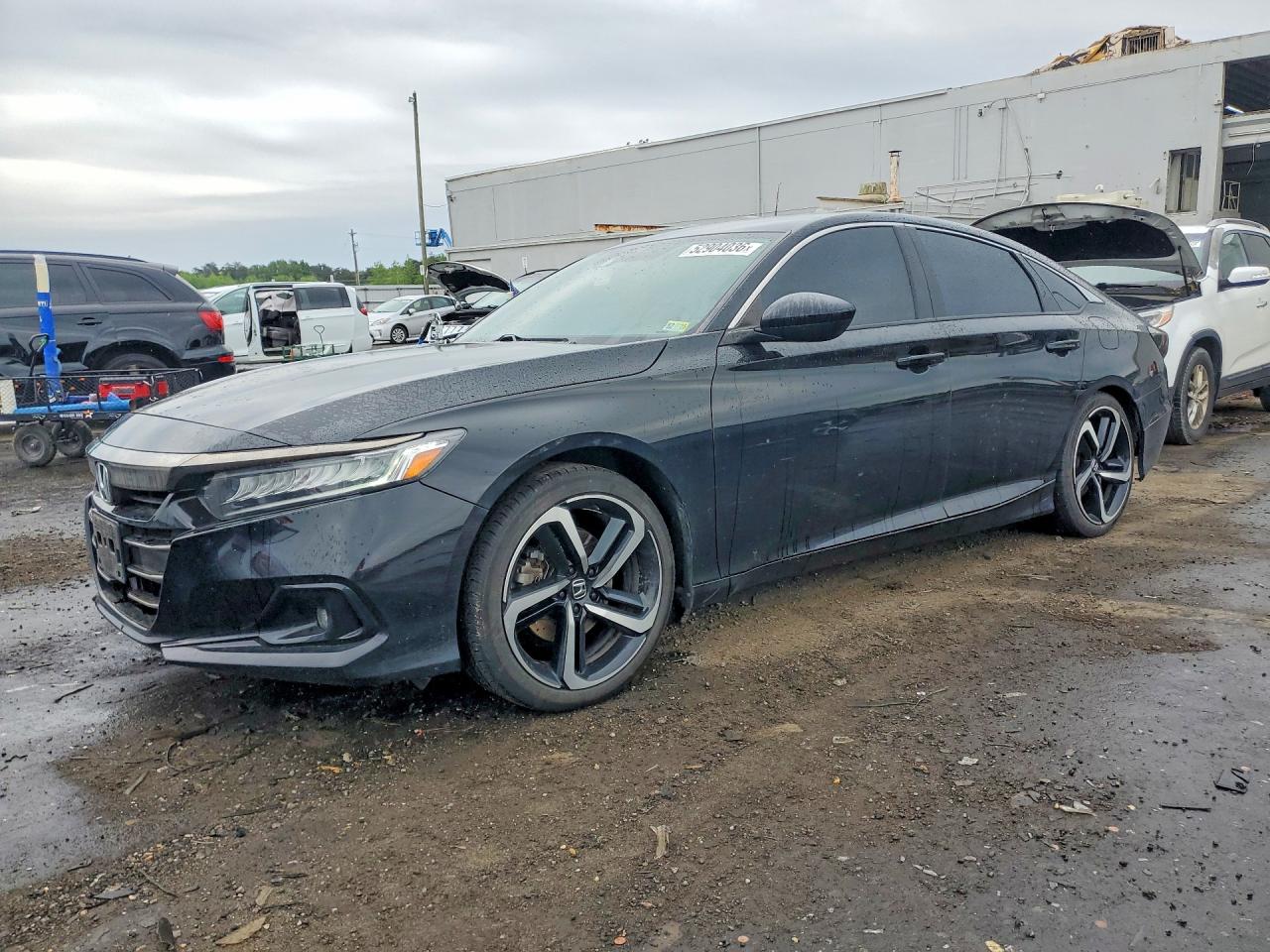 Salvage Honda Accord Image