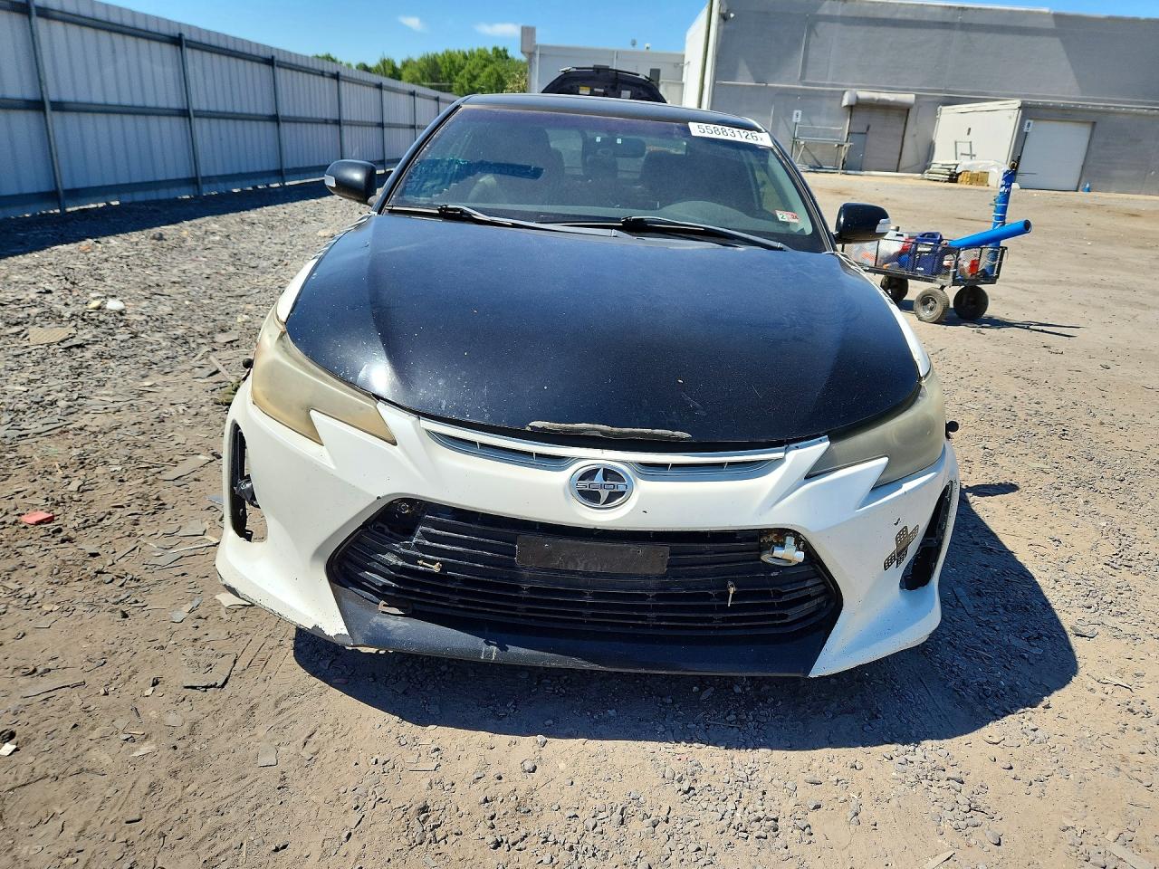 Scion TC Base