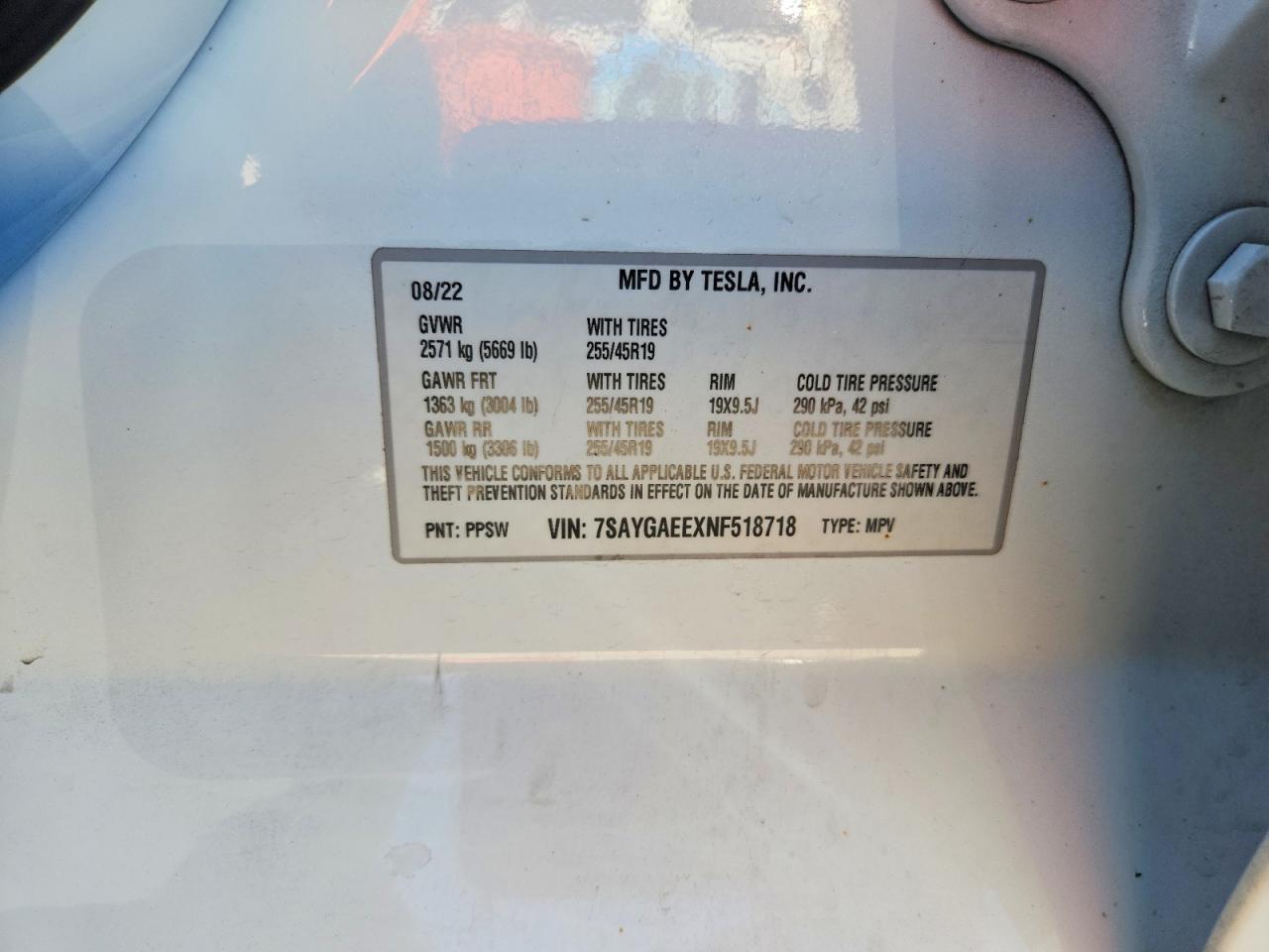 Tesla Model Y