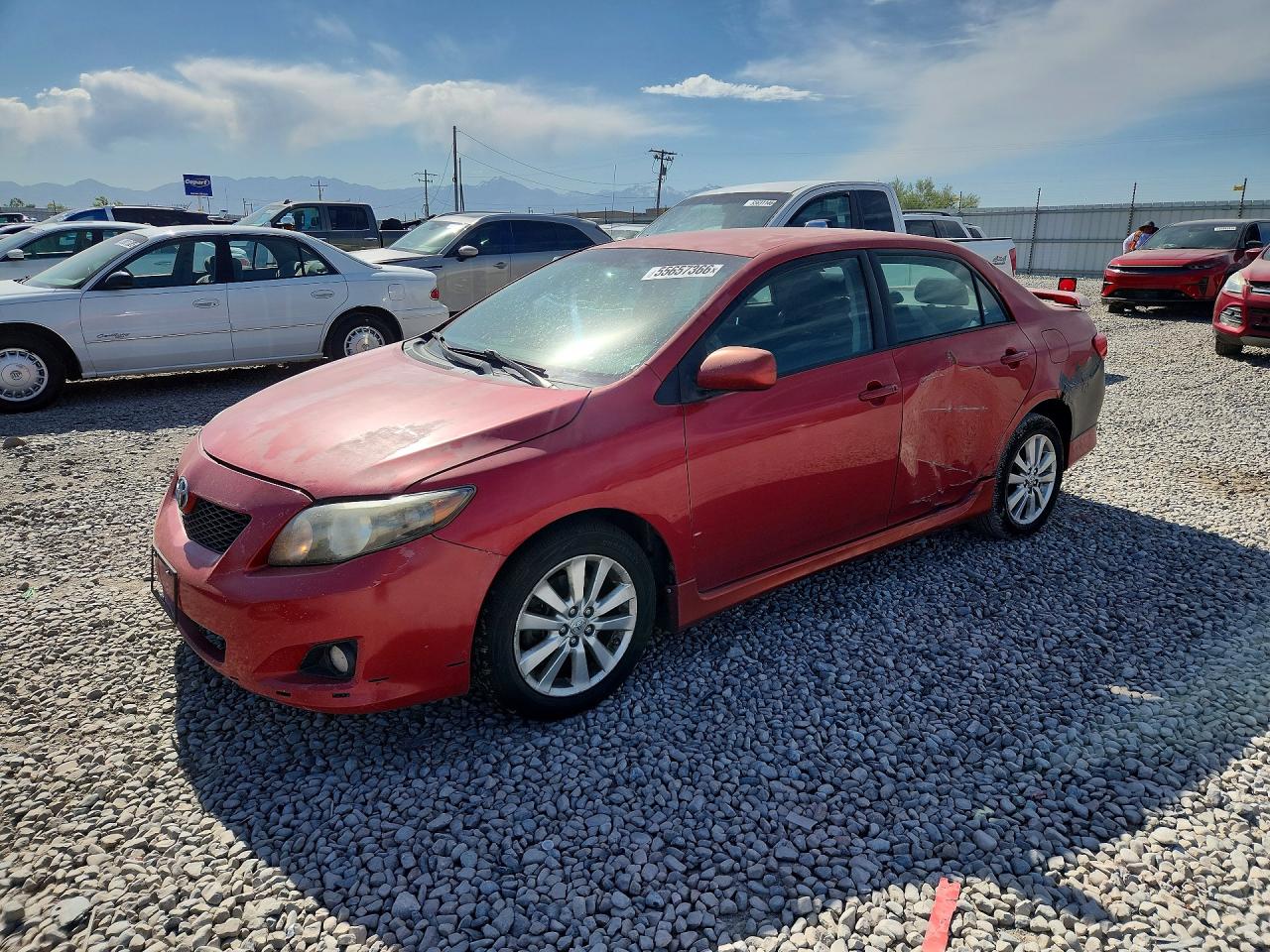 Salvage Toyota Corolla Image