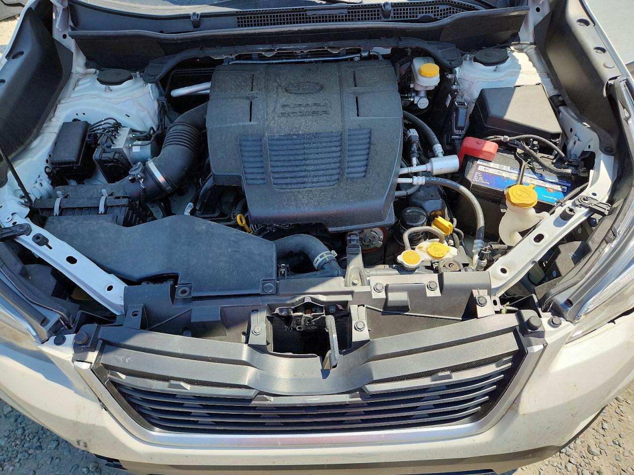 Subaru Forester Premium