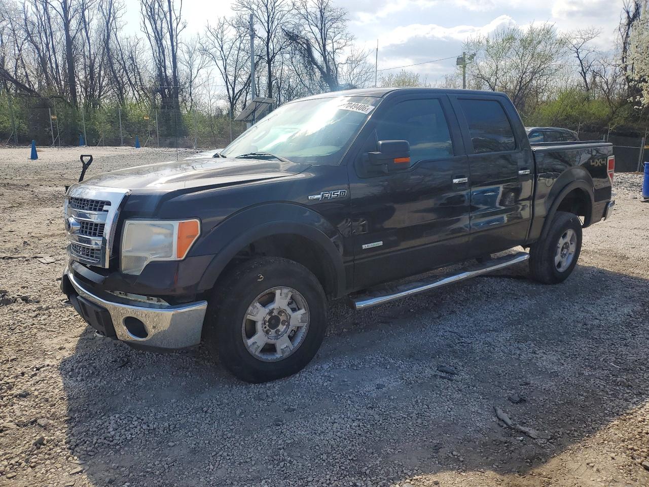 Salvage Ford F-150 Image