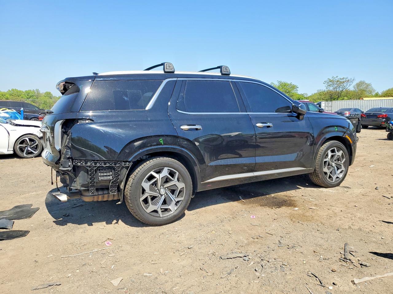 Hyundai PALISADE Calligraphy
