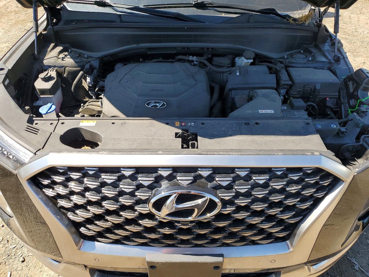 Hyundai PALISADE Calligraphy