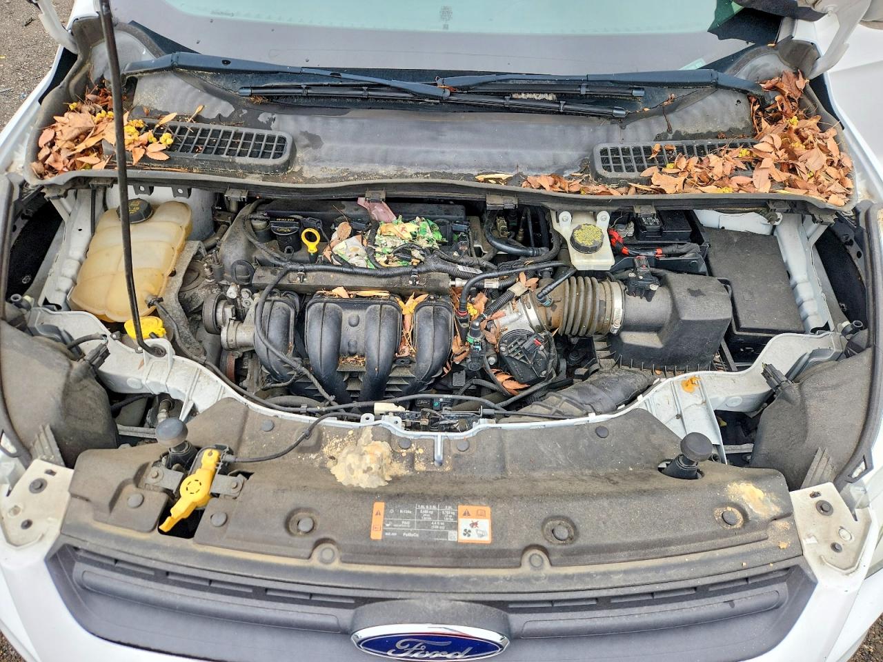 Ford Escape S