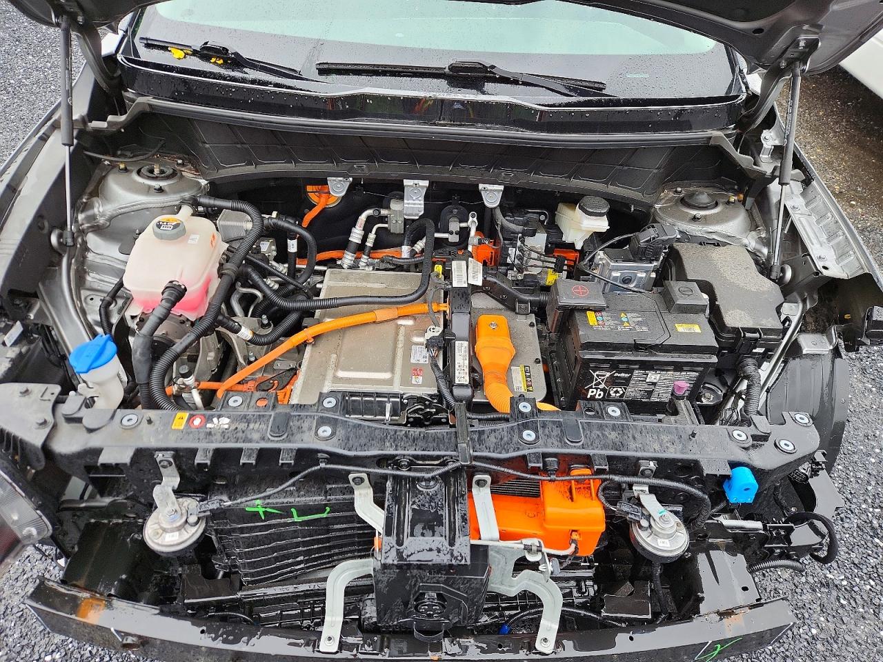 Kia Niro Wind