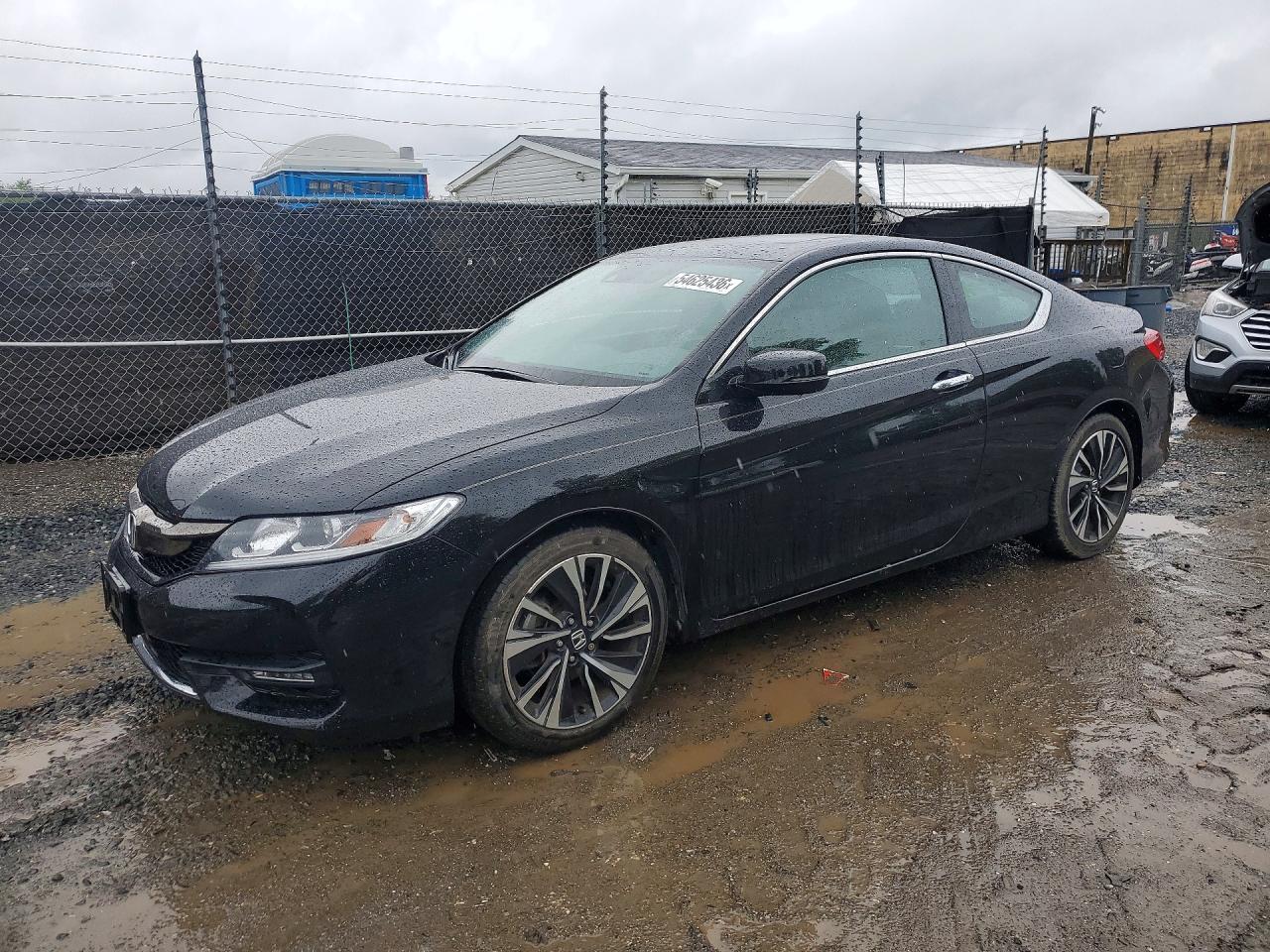 Salvage Honda Accord Image