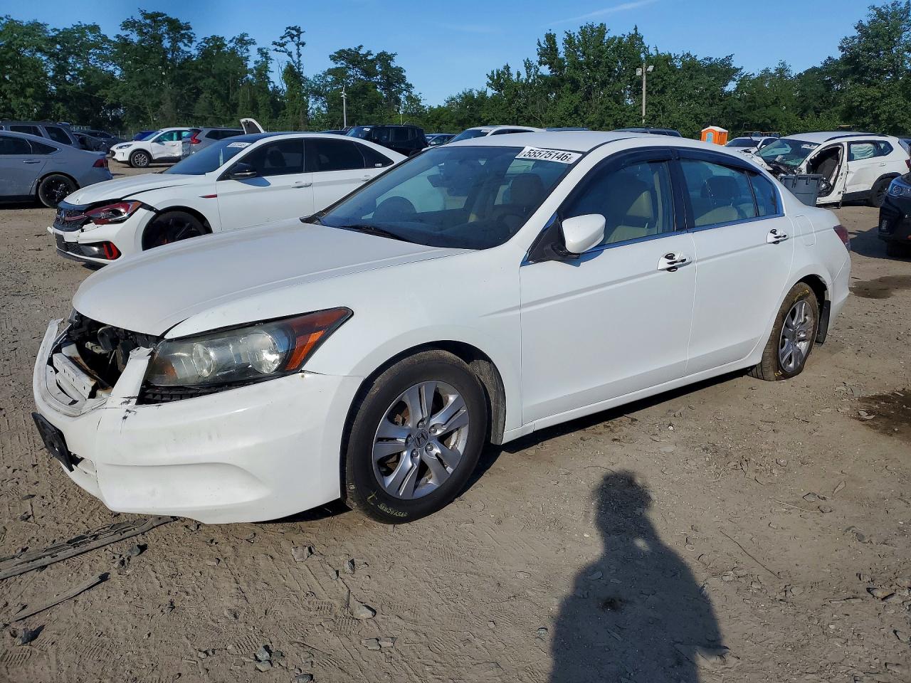 Salvage Honda Accord Image