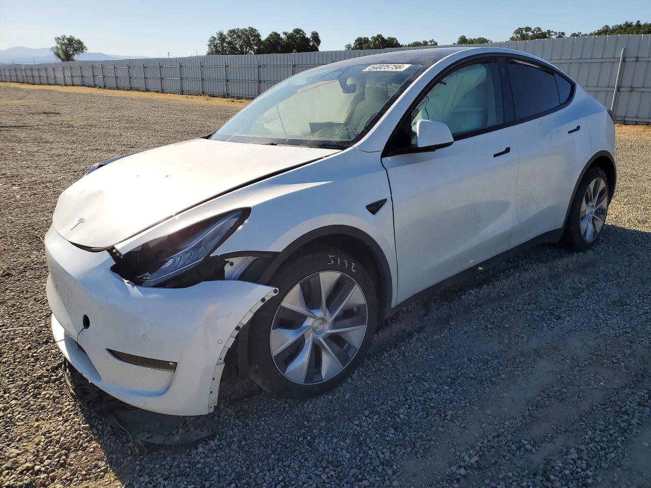 Salvage Tesla Model Y Image