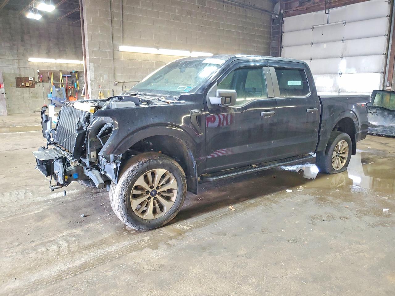 Salvage Ford F-150 Image