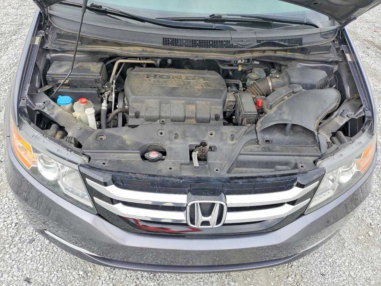 Honda Odyssey Exl