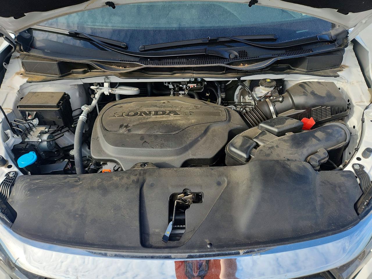 Honda Odyssey Exl