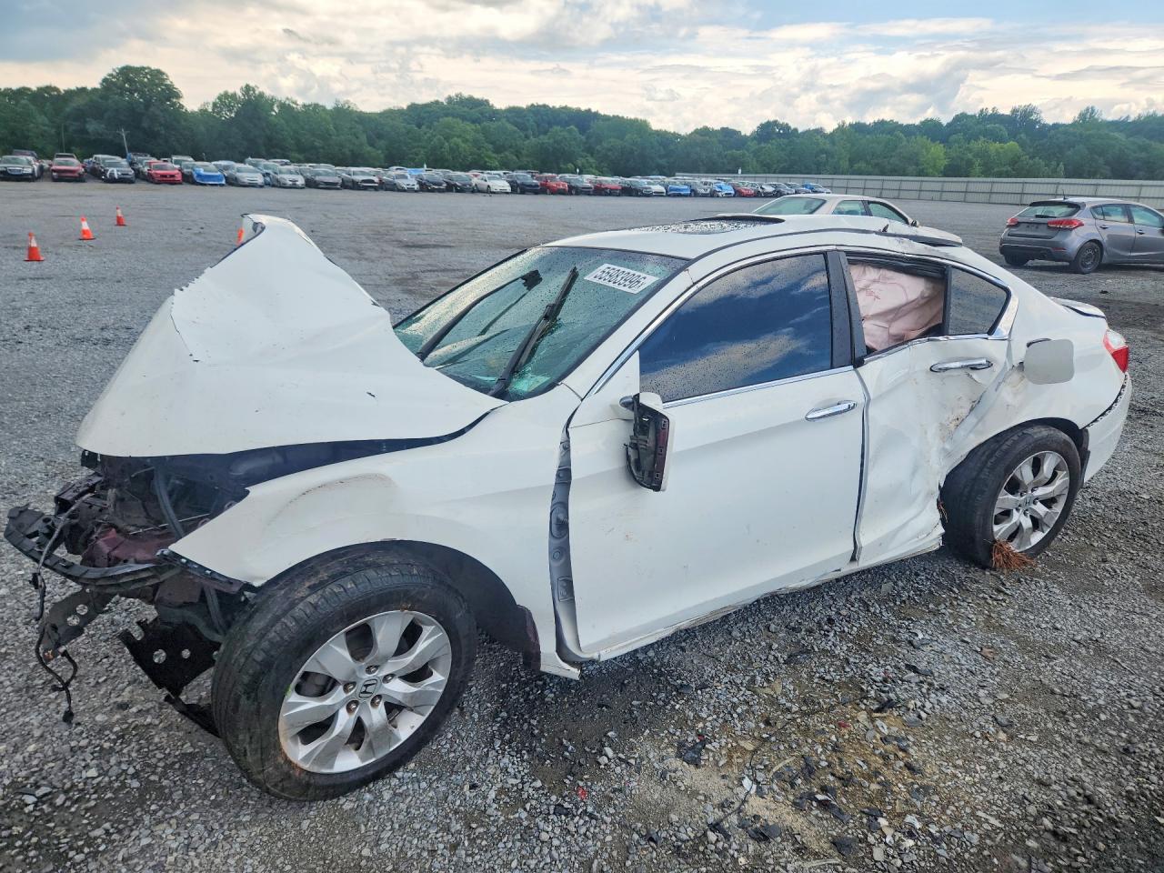 Salvage Honda Accord Image