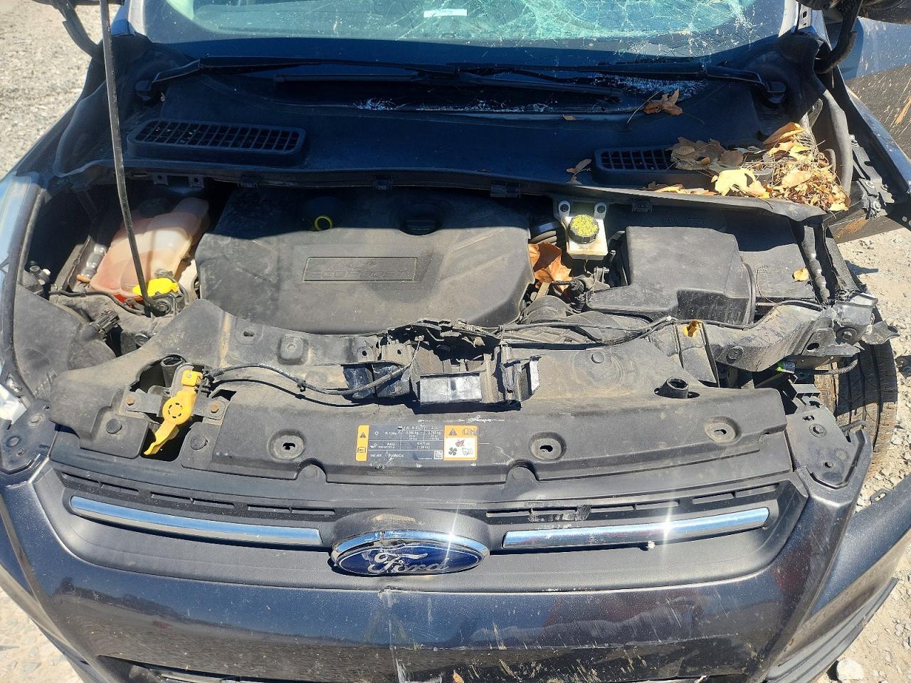 Ford Escape Se