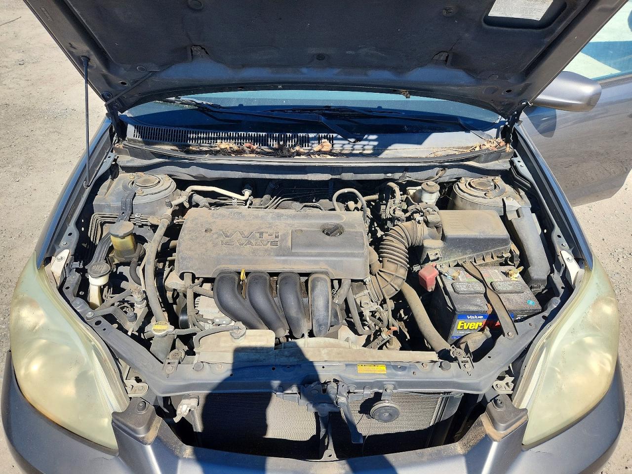 Toyota Corolla Xr