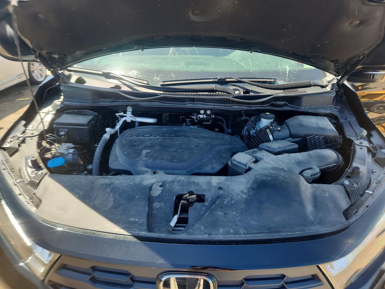 Honda Odyssey Exl