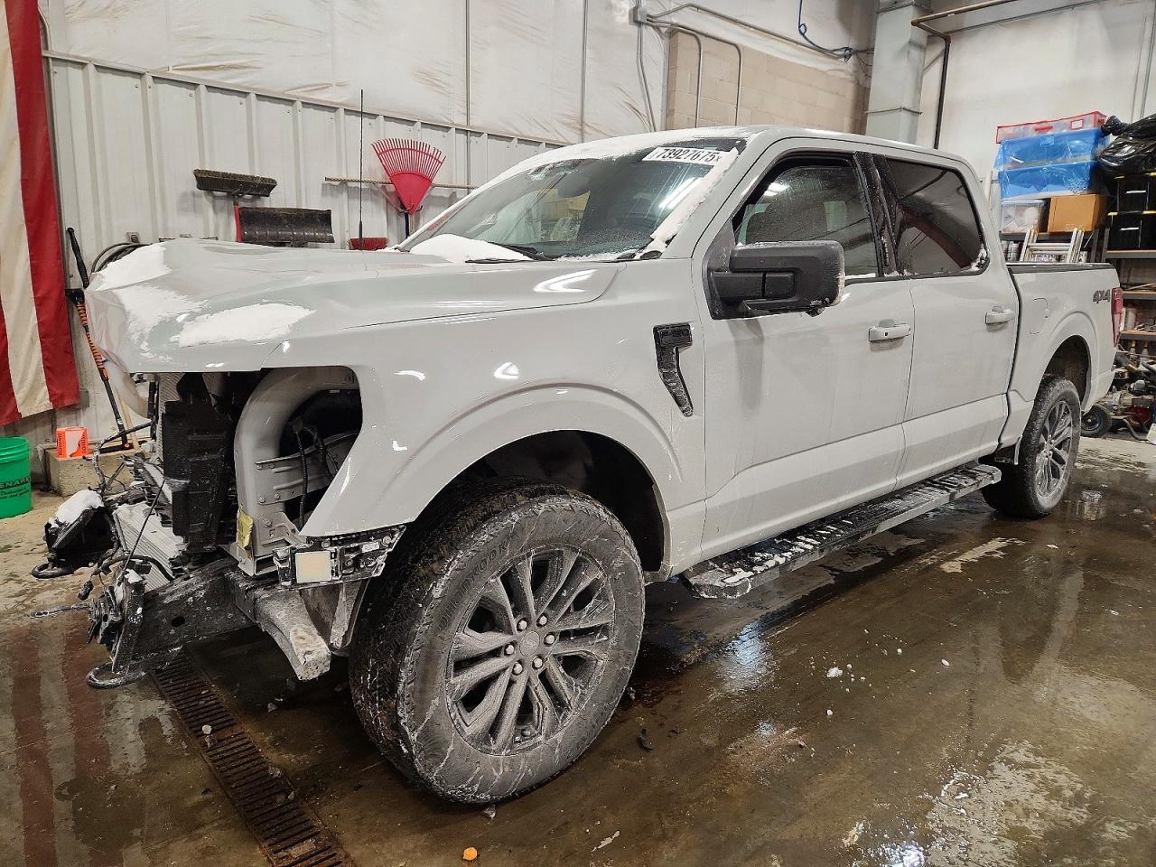Salvage Ford F-150 Image