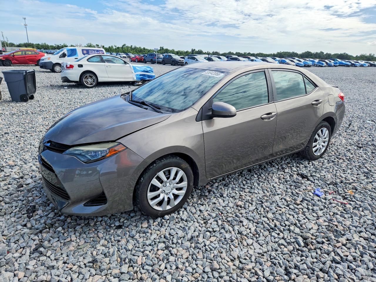 Salvage Toyota Corolla Image