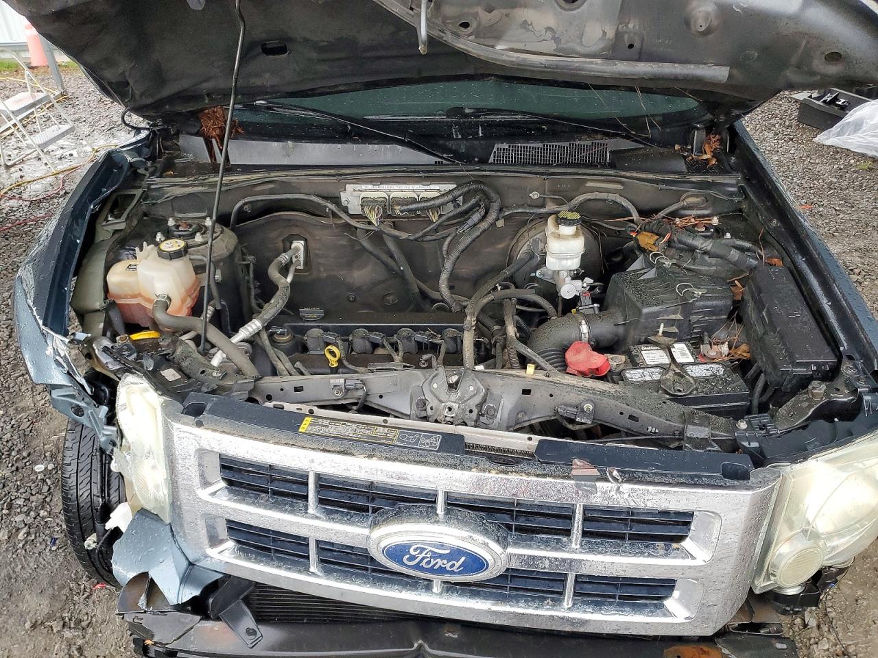 Ford Escape Xlt