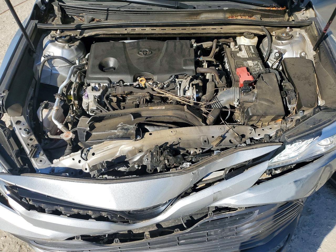Toyota Camry Xle