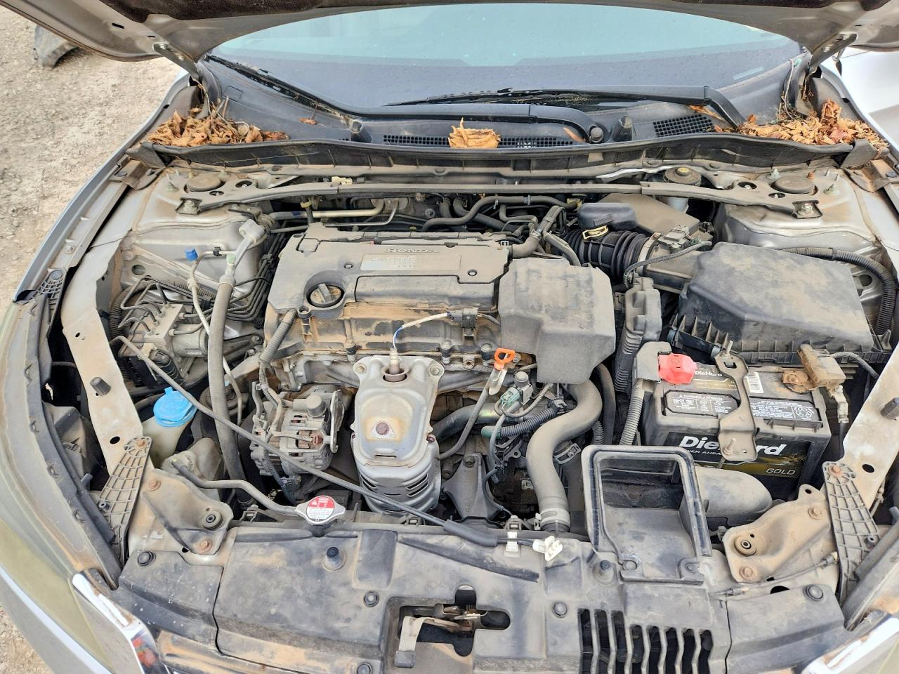 Honda Accord Exl