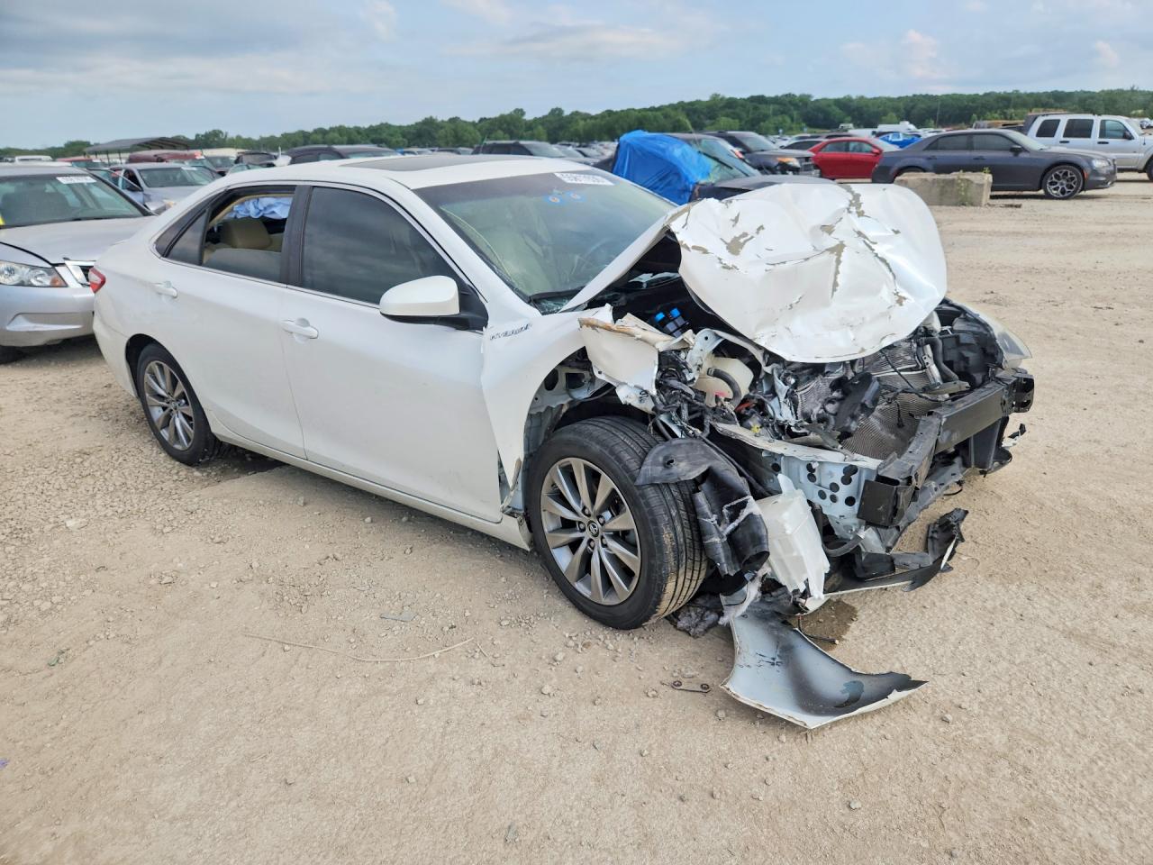 Toyota Camry Xle