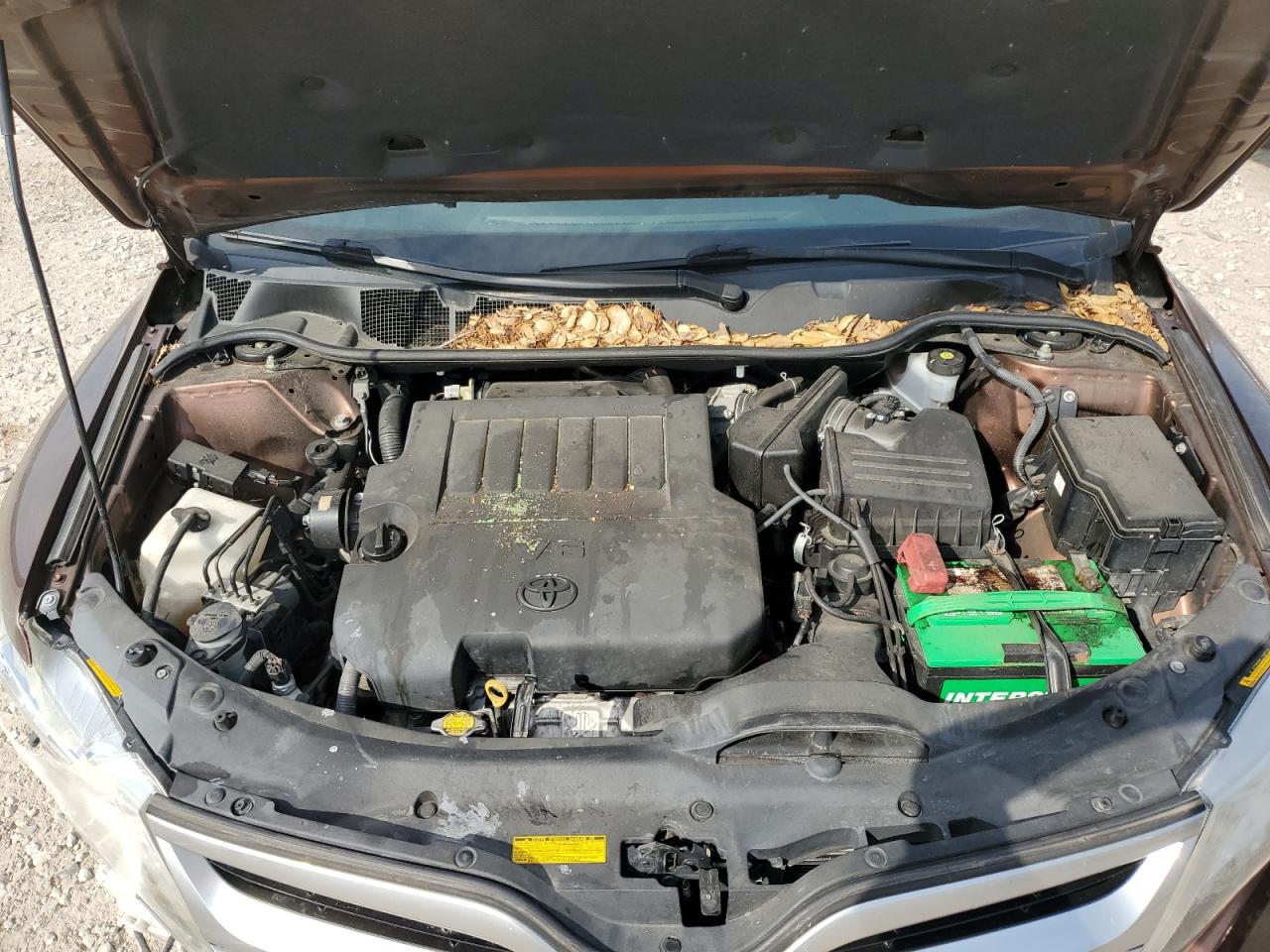 Toyota Venza Le